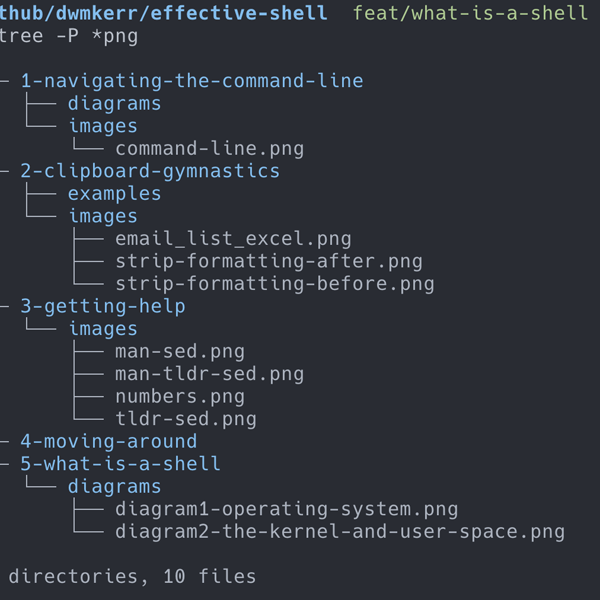 Shell (computing)