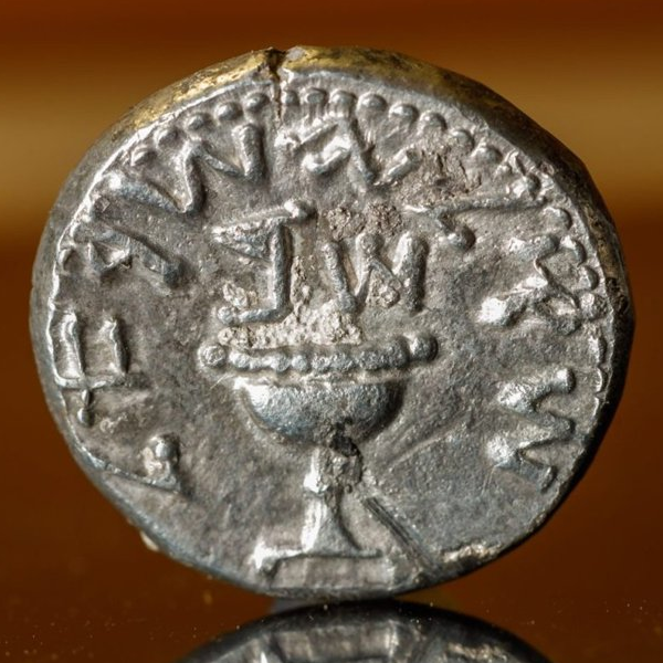 Silver coin logo