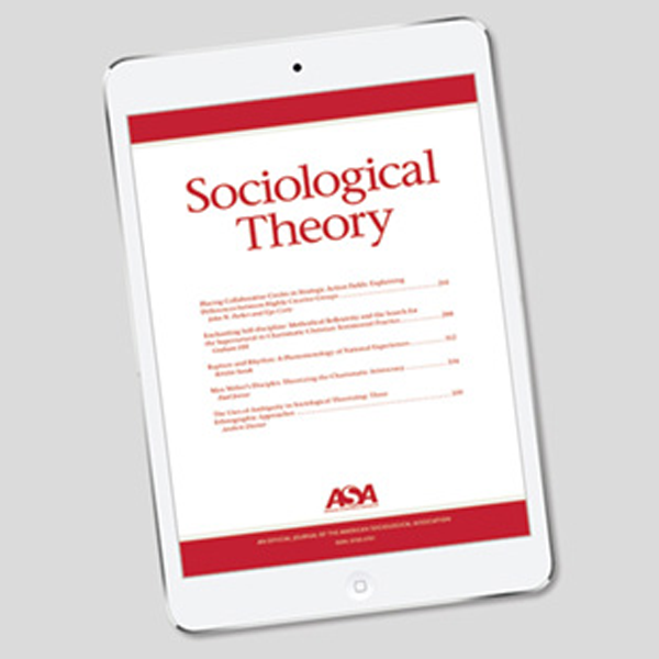 Social theory logo