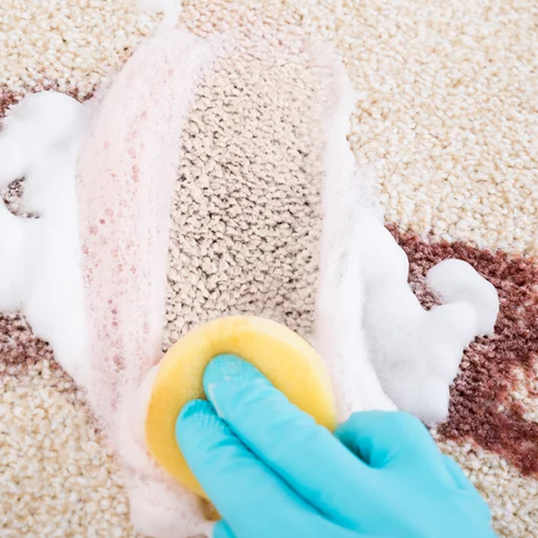 Stain removal logo