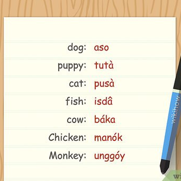 Tagalog language