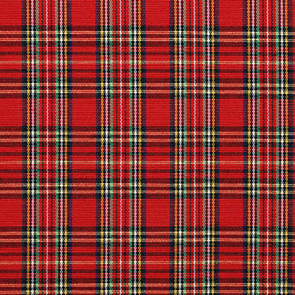 Tartan logo