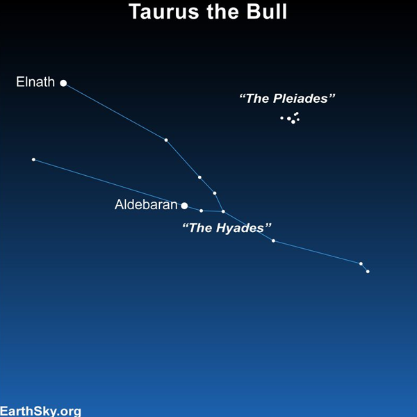 Taurus (constellation) logo