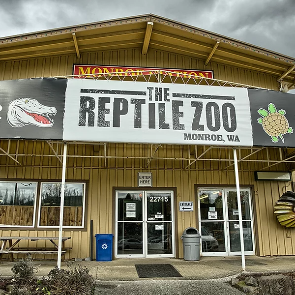 The Reptile Zoo