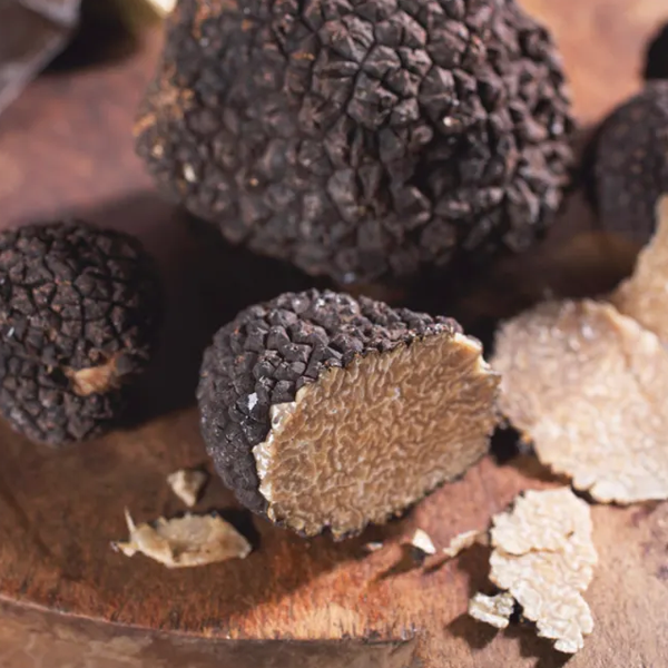 Truffle logo