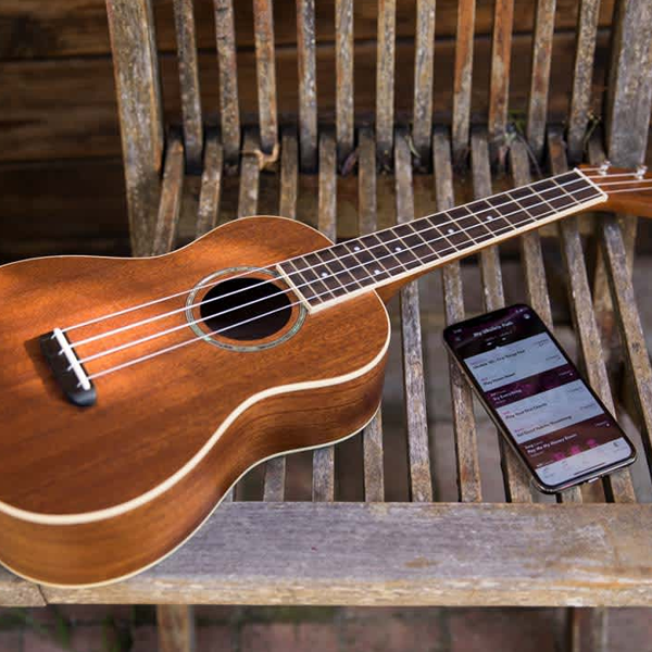 Ukulele logo