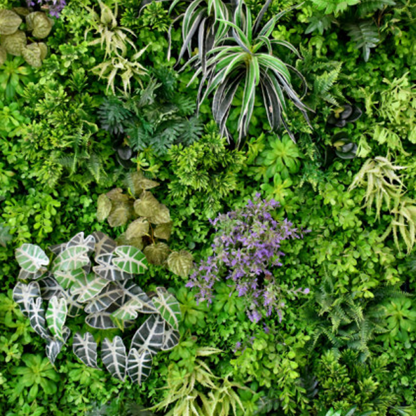 Vegetation logo