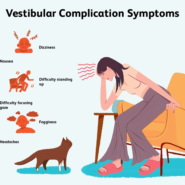 Vestibular