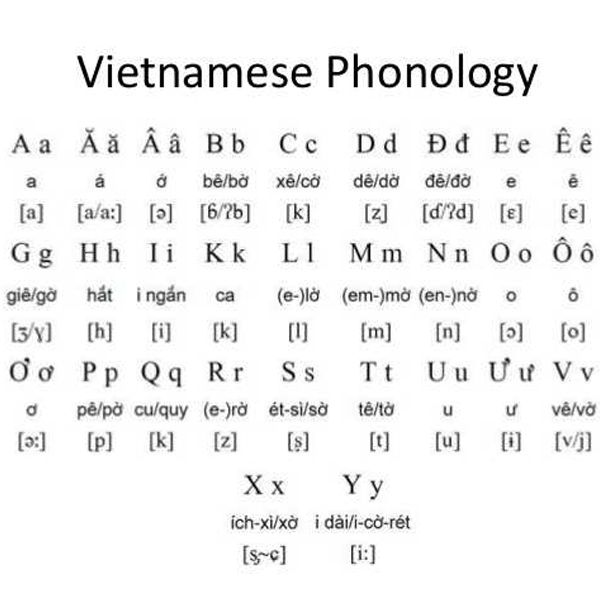 Vietnamese language