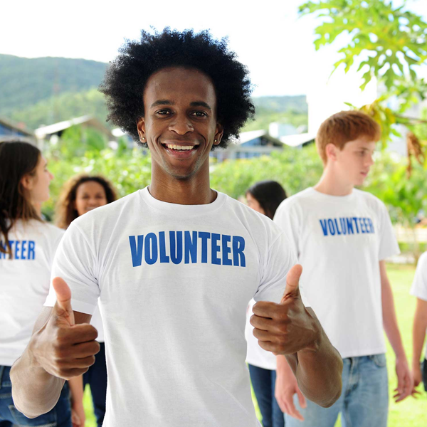 Voluntary social year logo