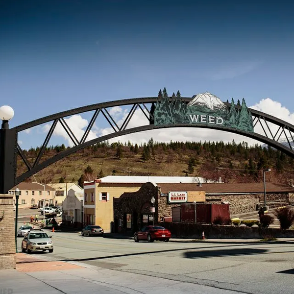 Weed, California
