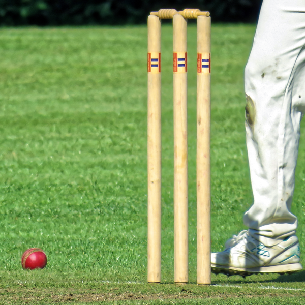 Wicket logo