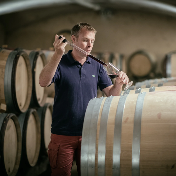 Winemaker logo