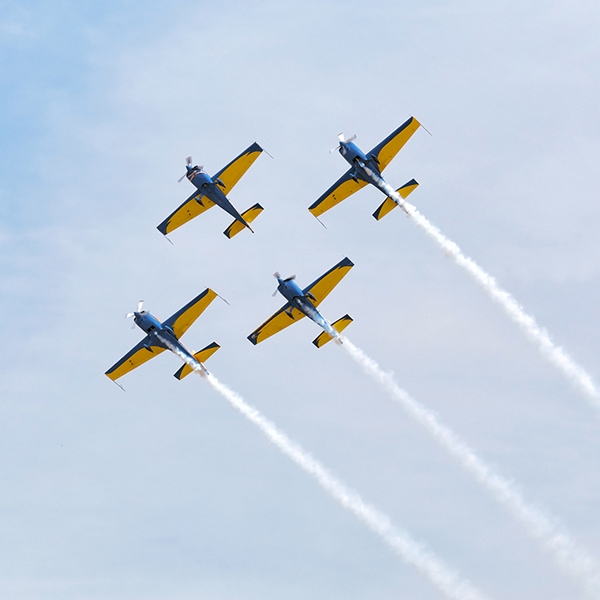 Air show logo