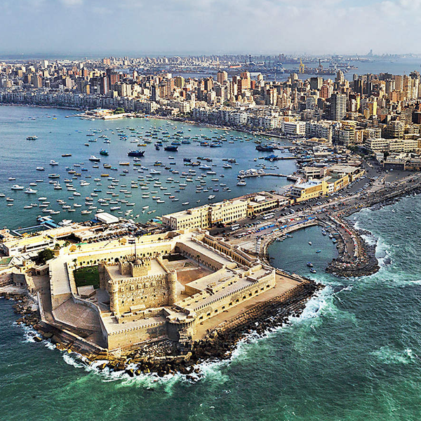 Alexandria logo