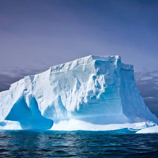 Antarctica logo