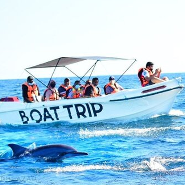 Boat tour