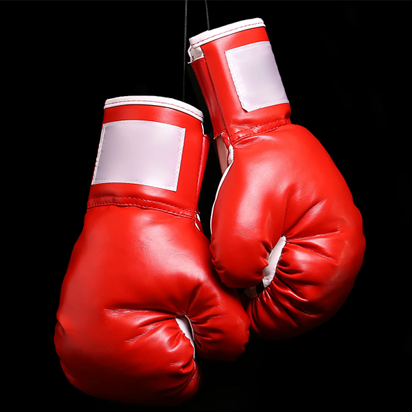 Boxing glove logo