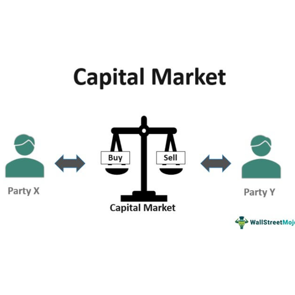 Capital market logo