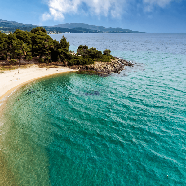 Chalkidiki logo