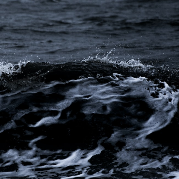Dark wave logo