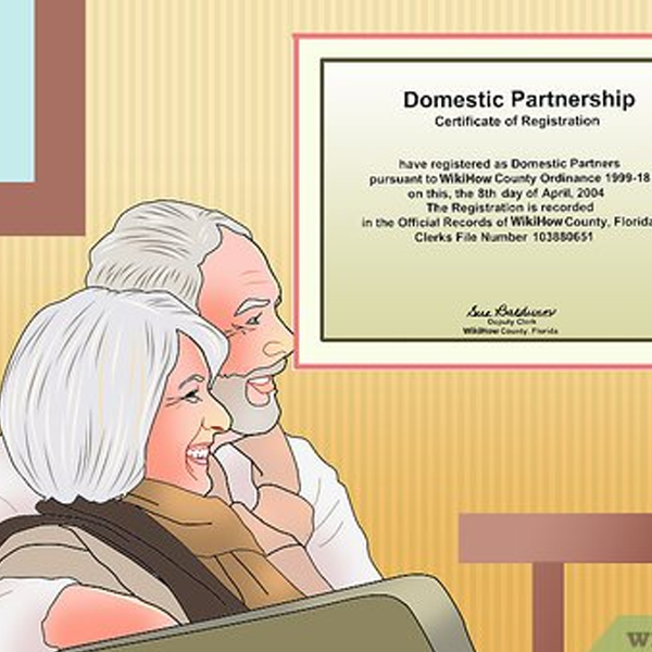 Domestic partnership logo