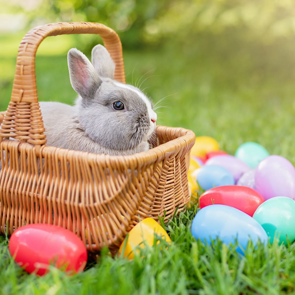 Easter Bunny logo