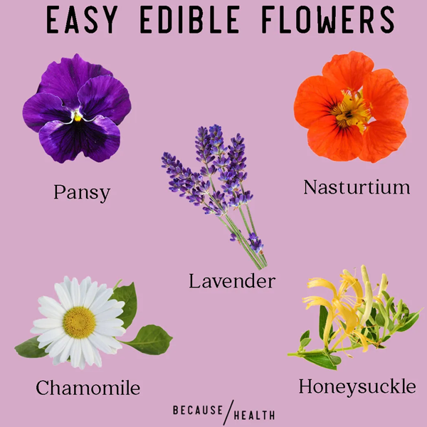 Edible flower