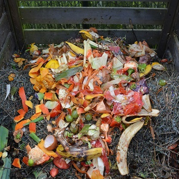 Food waste logo