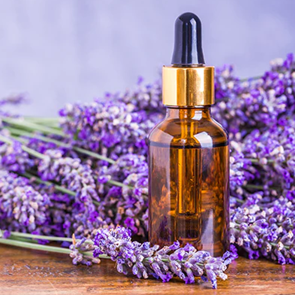 Lavender oil logo