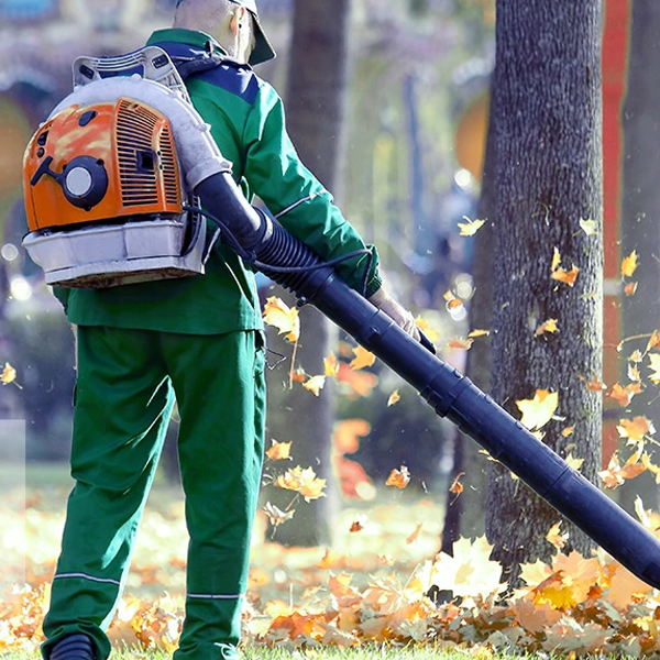 Leaf blower logo