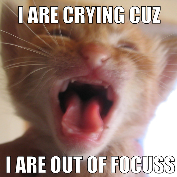 Lolcat logo