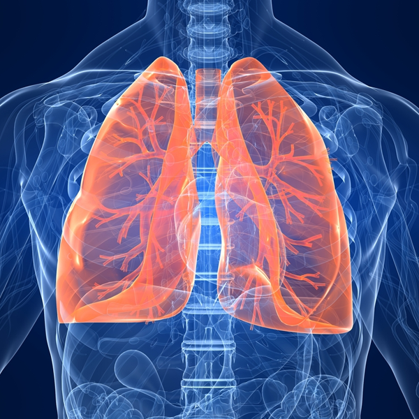 Lung logo