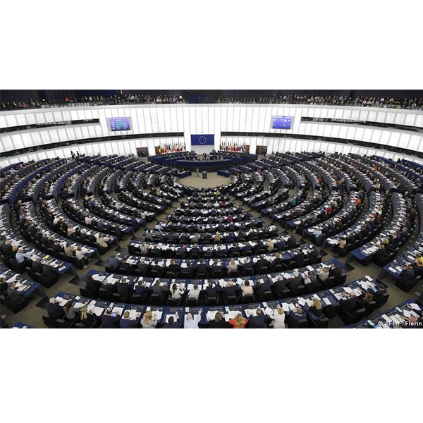 Member of the European Parliament logo