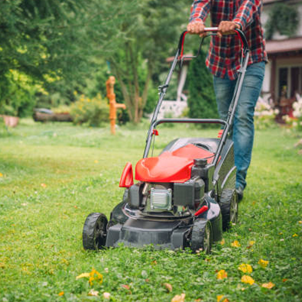 Mower logo