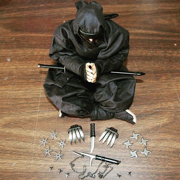 Ninjutsu logo
