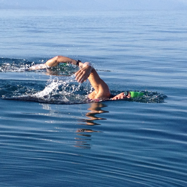 Open water swimming logo