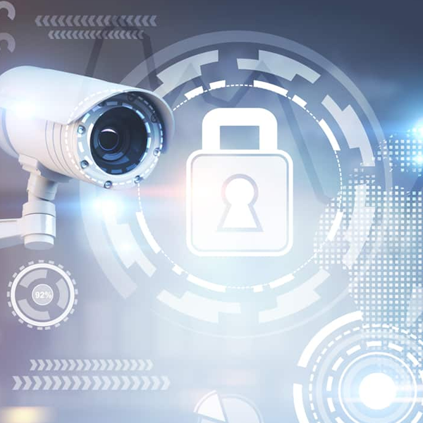 Physical security logo