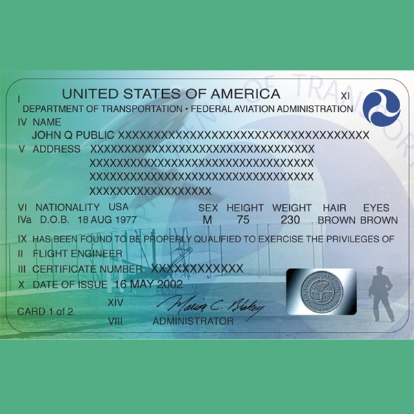 Private pilot licence logo