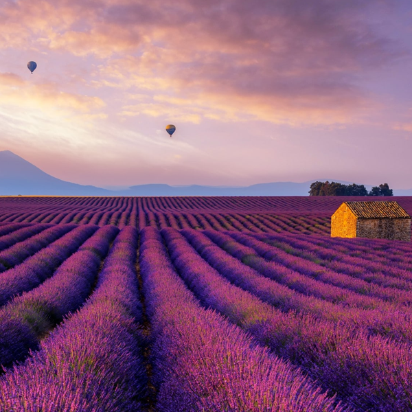 Provence