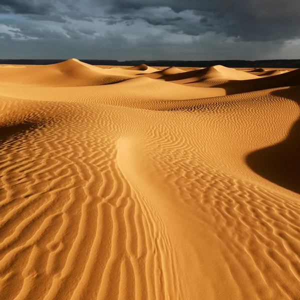 Sahara