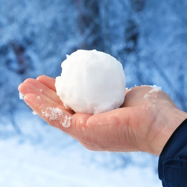 Snowball logo