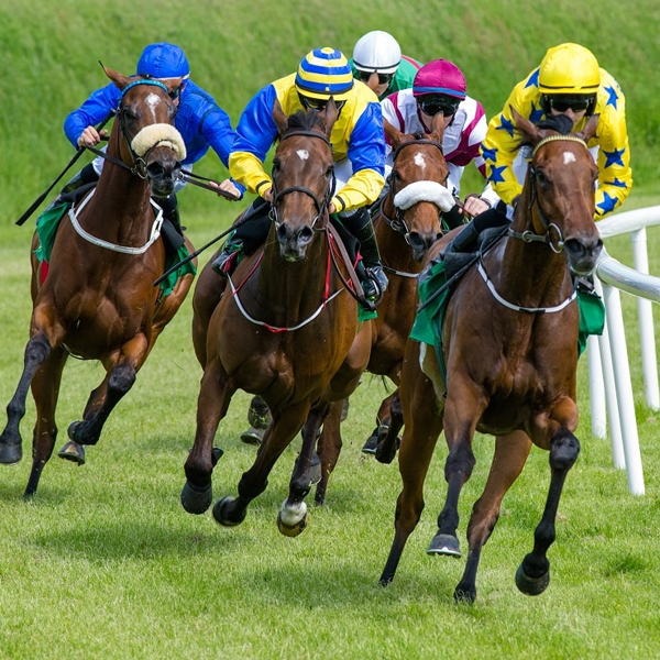 Thoroughbred horse racing logo