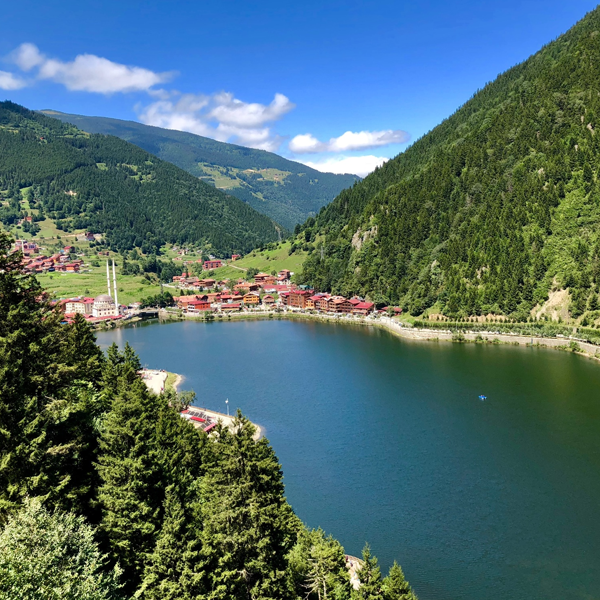 Trabzon logo
