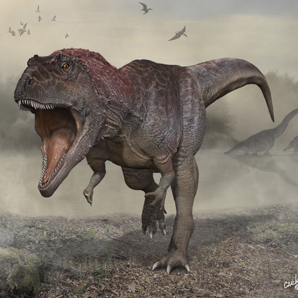 Tyrannosaurus logo
