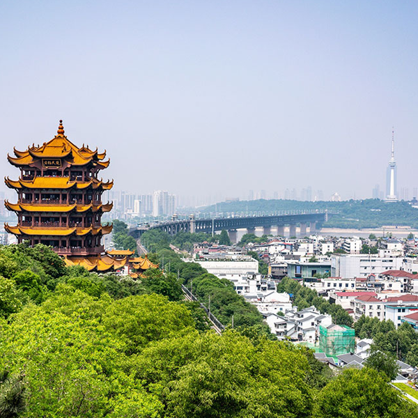 Wuhan logo