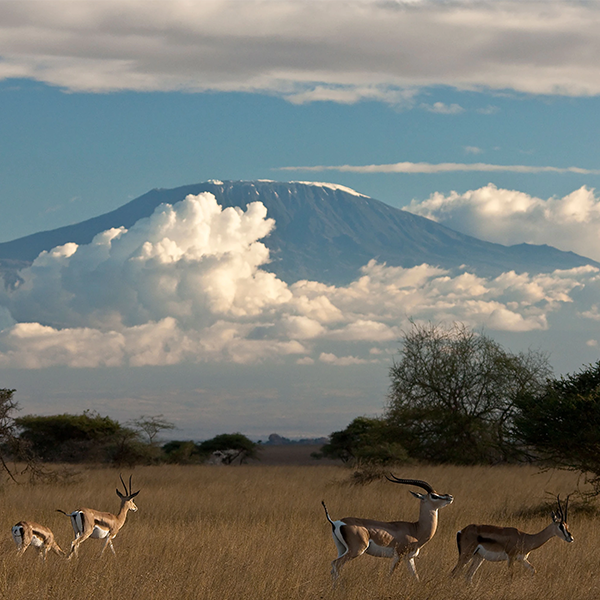 Africa