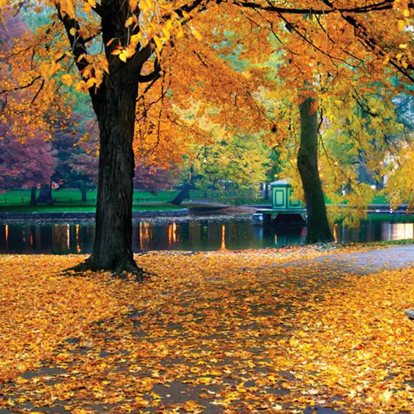Autumn