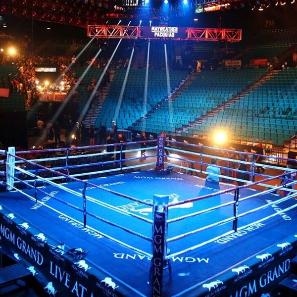 Boxing ring logo