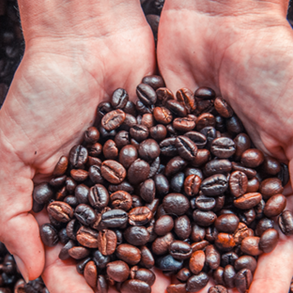 Coffee production logo